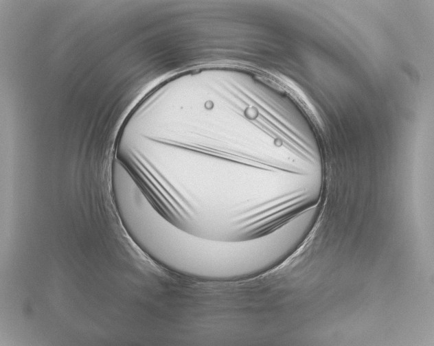 X0000115541244200912041004