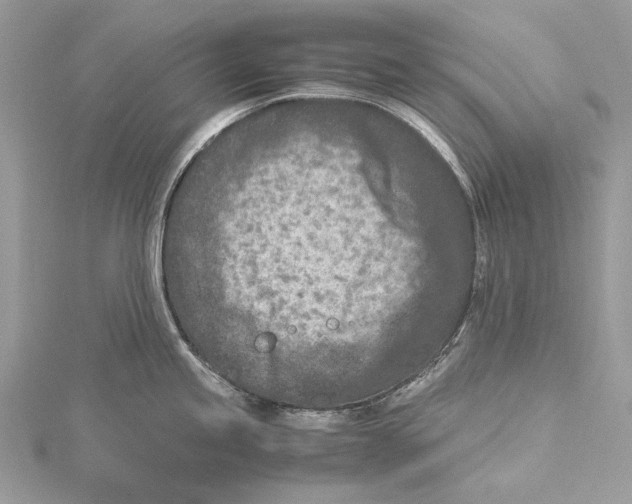 X0000115541245200912041004