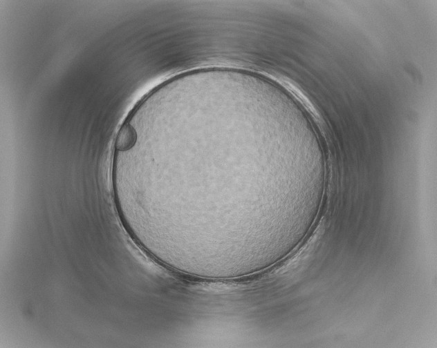 X0000115541246200912041004