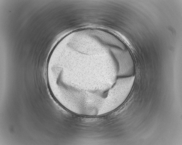 X0000115541247200912041004