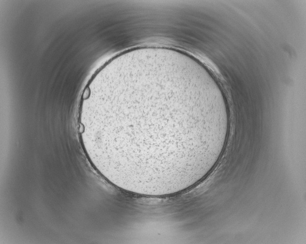 X0000115541248200912041004