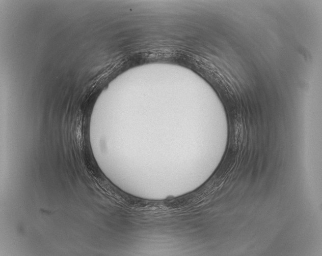 X0000115541250200912041003