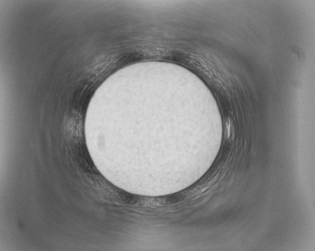 X0000115541251200912041003