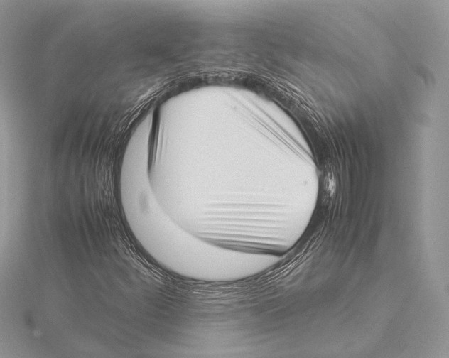 X0000115541252200912041003