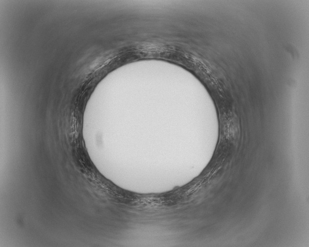 X0000115541253200912041003