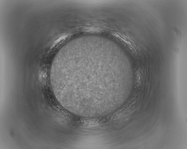 X0000115541254200912041003