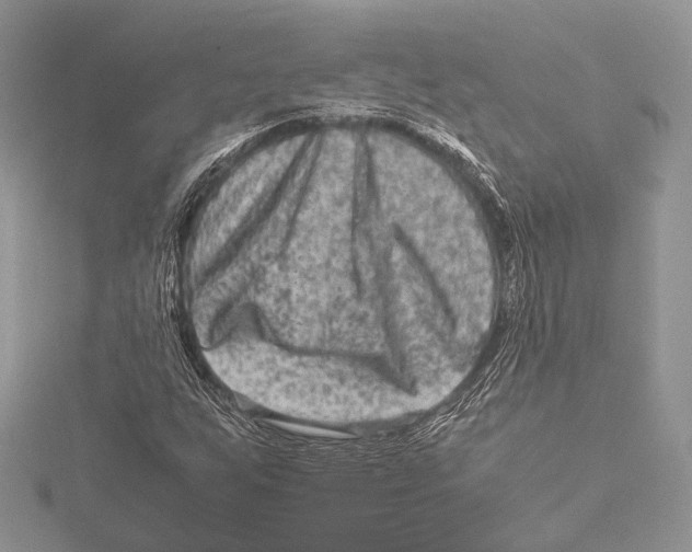 X0000115541255200912041003