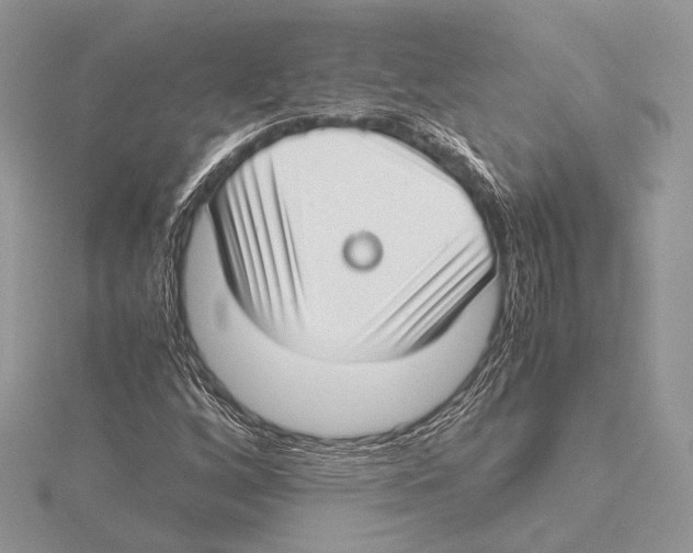 X0000115541256200912041003