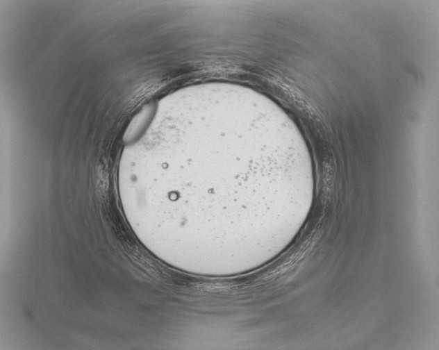 X0000115541257200912041003