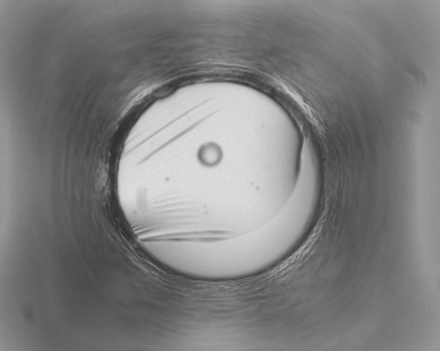 X0000115541259200912041003