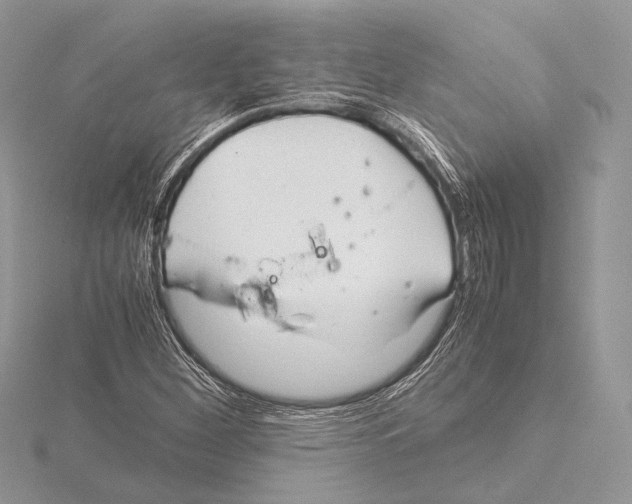 X0000115541260200912041003