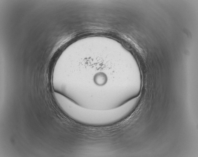 X0000115541261200912041003