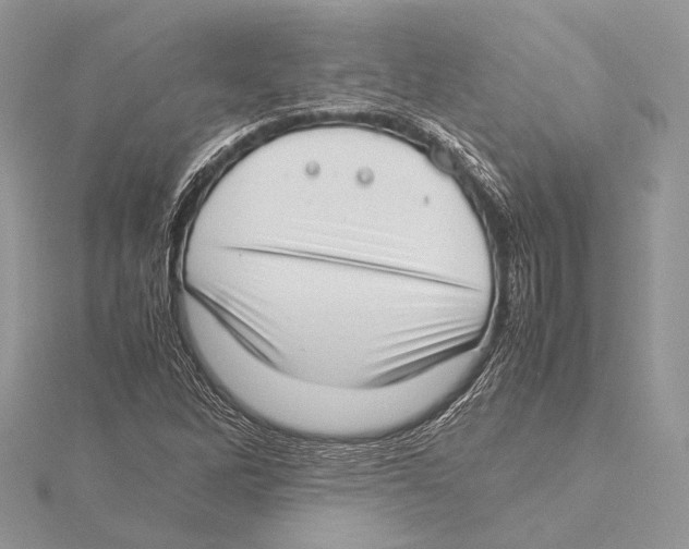 X0000115541262200912041003