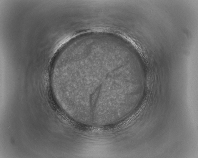 X0000115541263200912041003