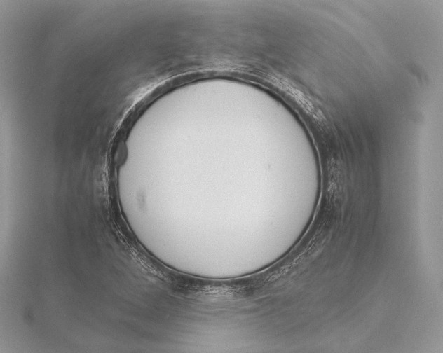 X0000115541264200912041003