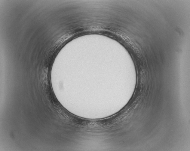 X0000115541265200912041003