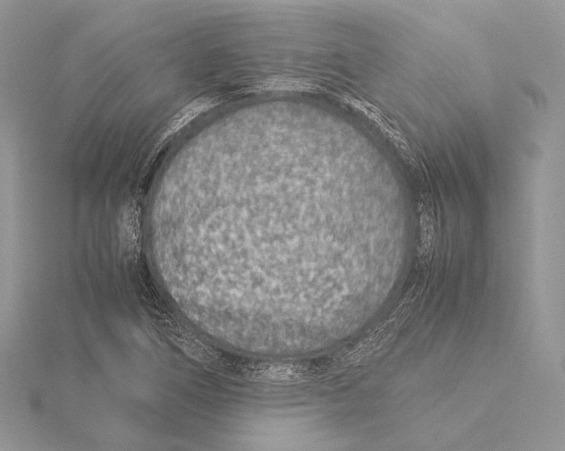 X0000115541266200912041003