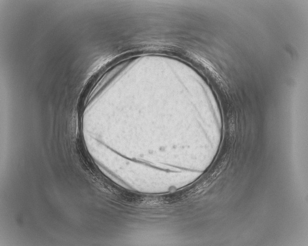 X0000115541267200912041003