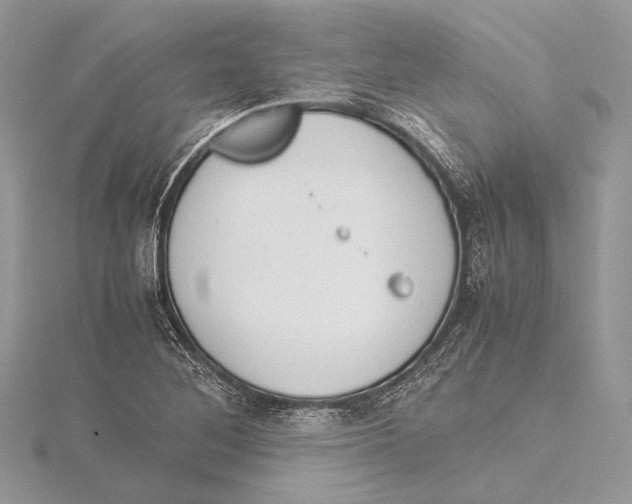 X0000115541268200912041003