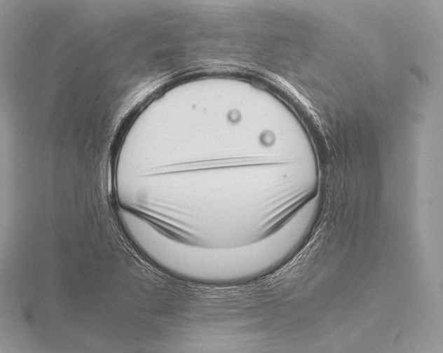 X0000115541269200912041003