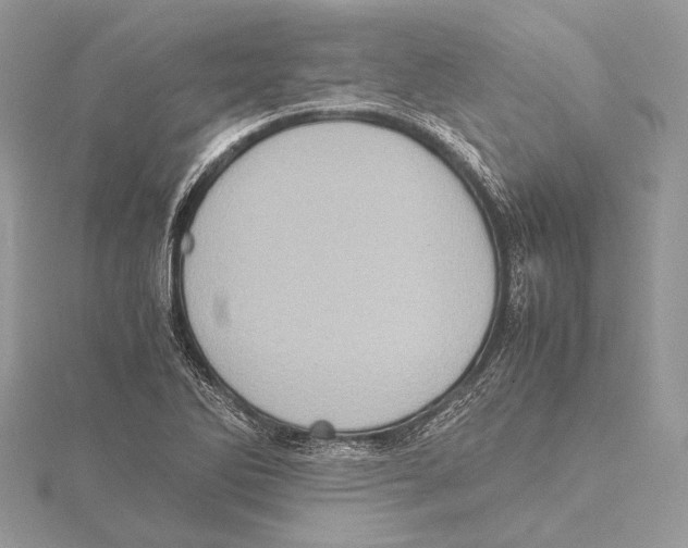 X0000115541270200912041003