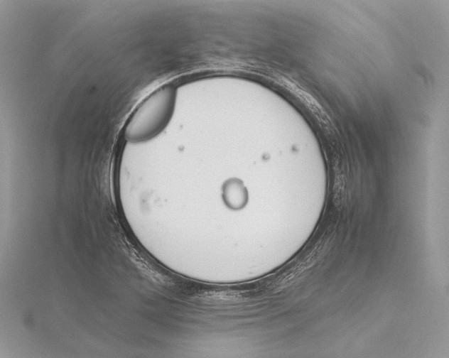 X0000115541272200912041003