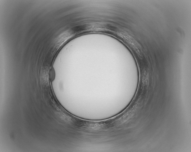 X0000115541273200912041003