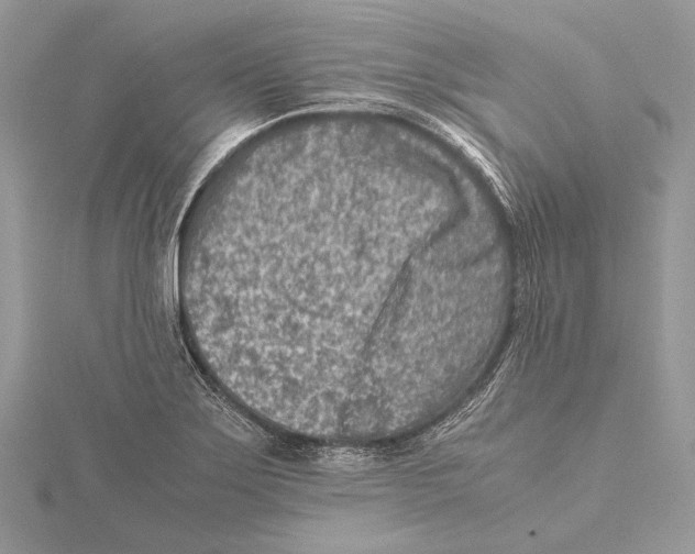 X0000115541275200912041003