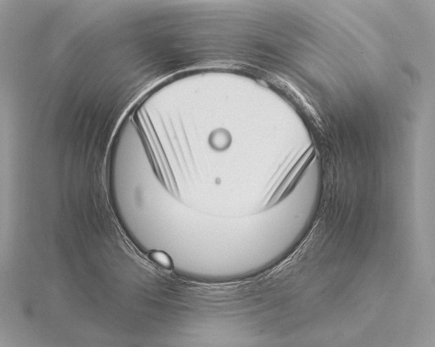 X0000115541276200912041003