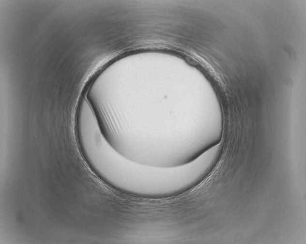 X0000115541277200912041003