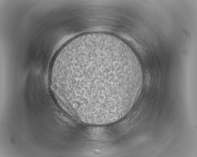 X0000115541278200912041003