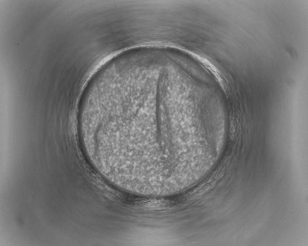 X0000115541279200912041003