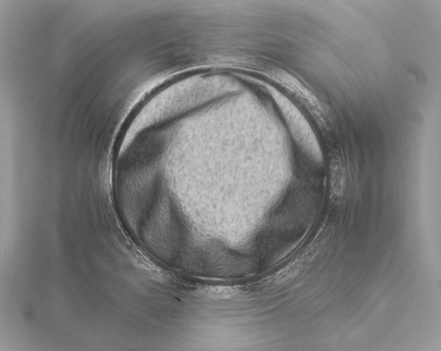 X0000115541280200912041003