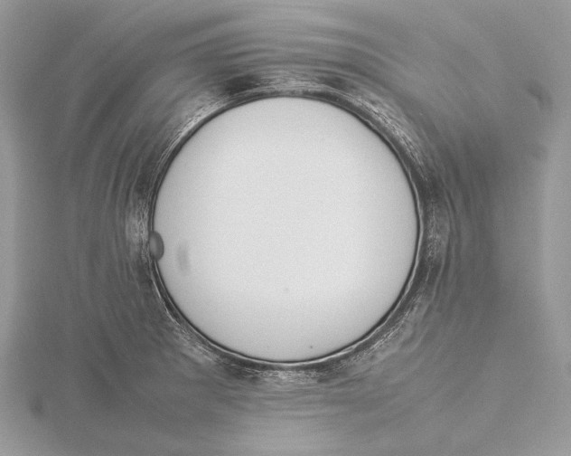 X0000115541281200912041003