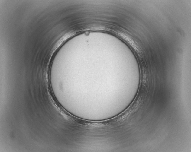 X0000115541282200912041003