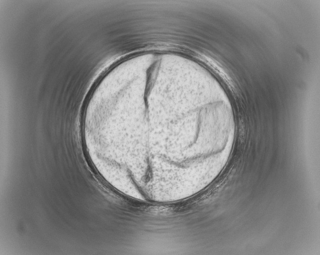 X0000115541283200912041003