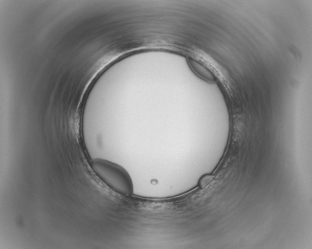 X0000115541284200912041003