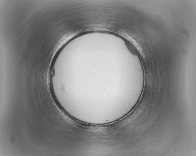 X0000115541285200912041003