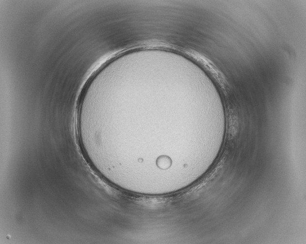 X0000115541286200912041003