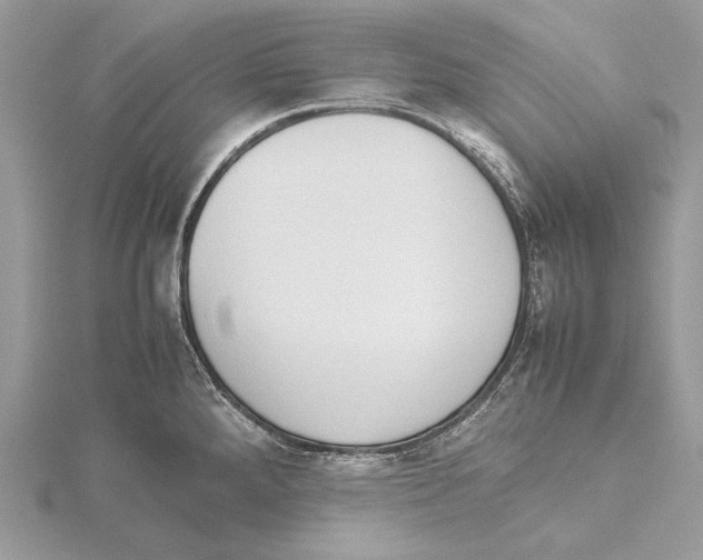 X0000115541288200912041003