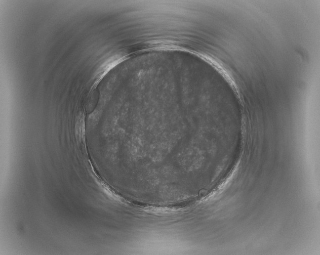 X0000115541289200912041003