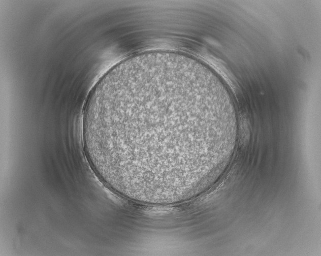 X0000115541290200912041003