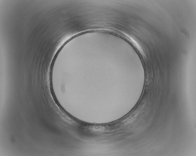 X0000115541291200912041003