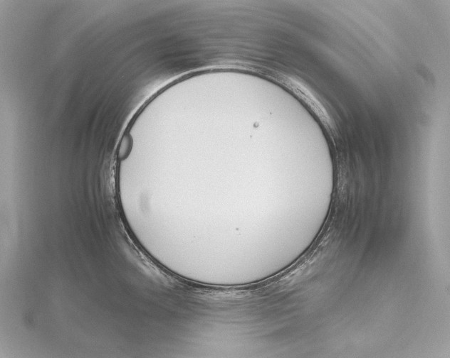 X0000115541292200912041003