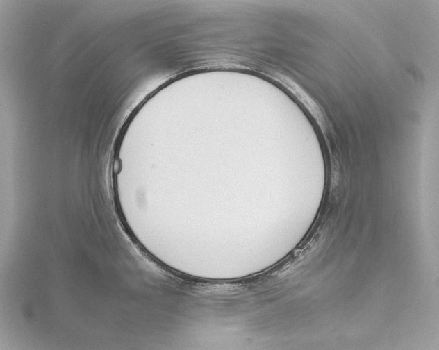 X0000115541293200912041003