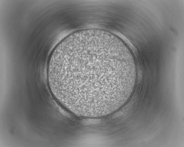 X0000115541294200912041003