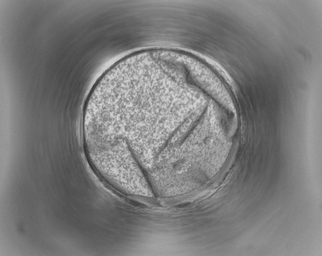 X0000115541295200912041003