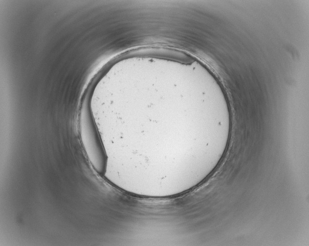 X0000115541296200912041003