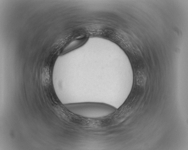 X0000115541298200912041002