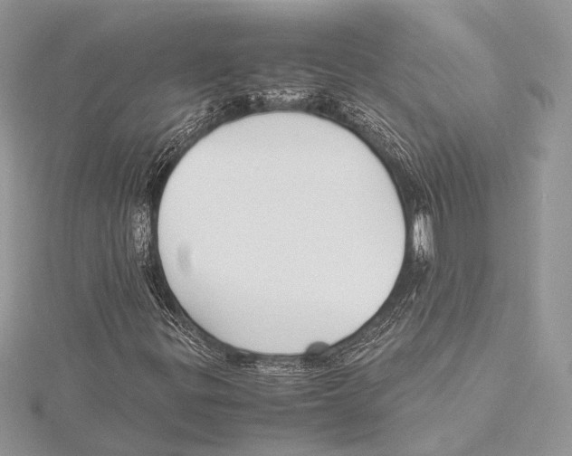 X0000115541299200912041002